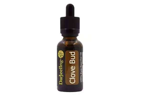 Darjeeling Clove Bud Essential Oil