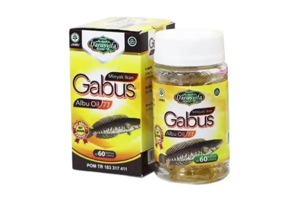 Darusyifa Albu Oil 77