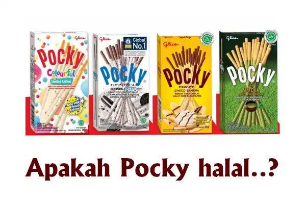 apakah pocky halal