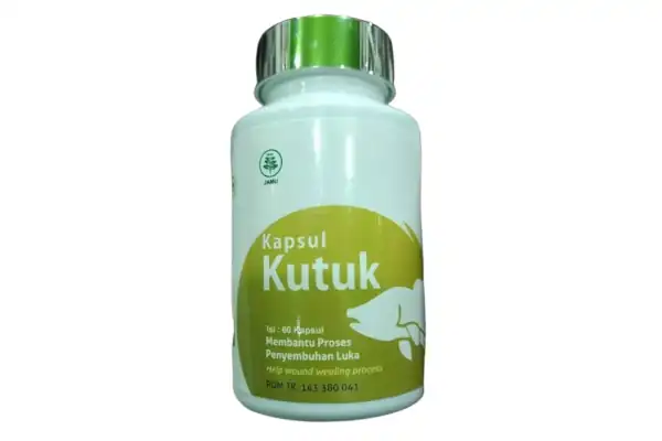 kapsul kutuk