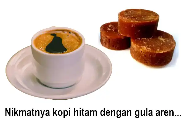 lebih sehat gula aren 1