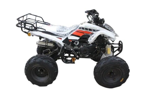 motor atv Bee Happy Spider 150 Sport