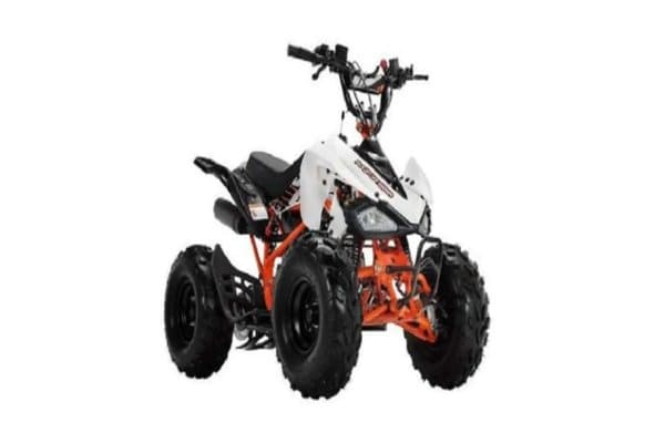 motor atv VIAR ATV 100 SP