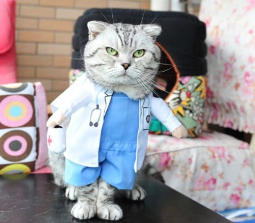 baju kucing kostum dokter