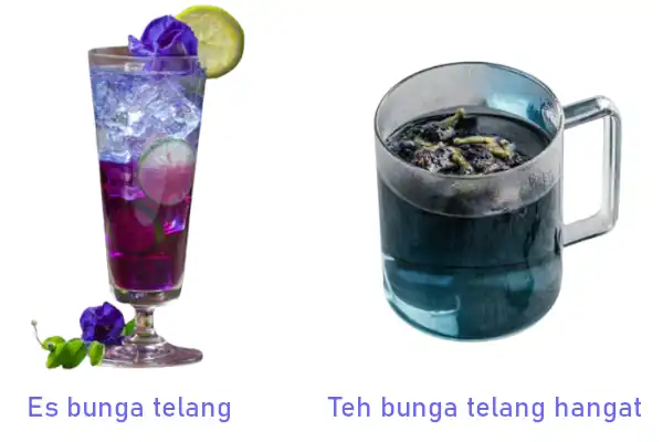 cara membuat teh bunga telang