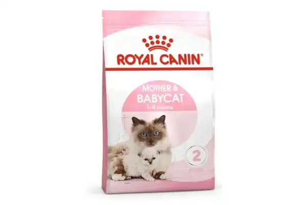 makanan kucing royal canin