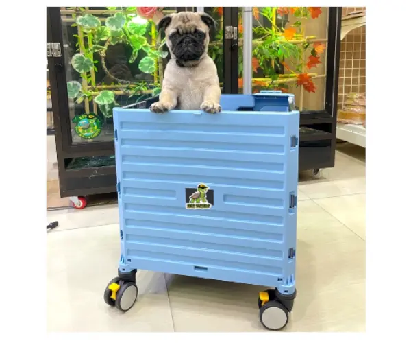 pet cargo trolley