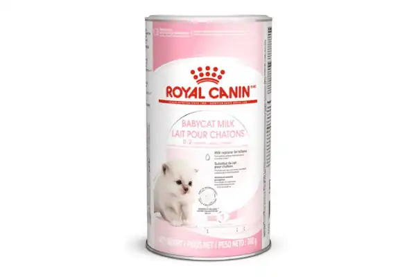 susu kucing royal canin