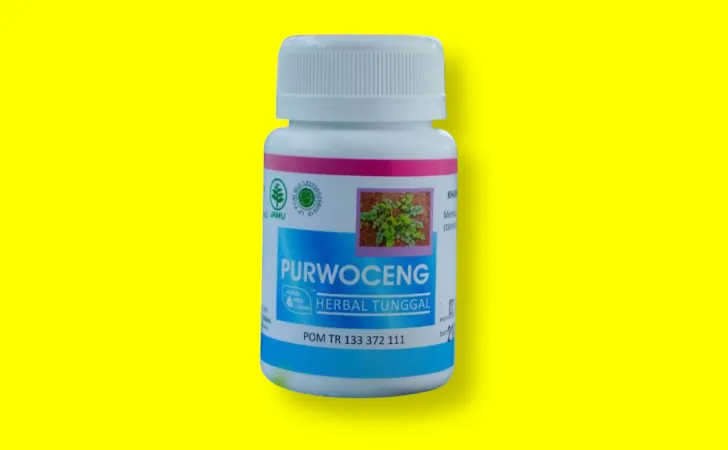 hiu purwoceng obat kuat herbal