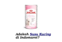 susu-kucing-di-indomaret susu kucing di indomaret
