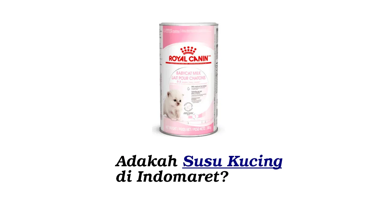 susu kucing di indomaret